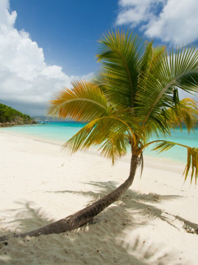 10 Best Beaches in Florida for 2024