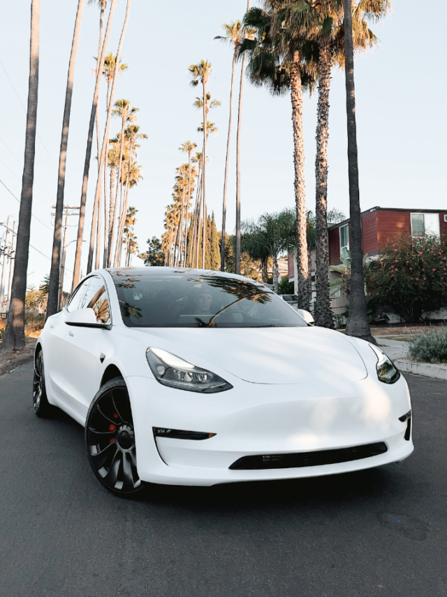 Best Electric Vehicles in 2024